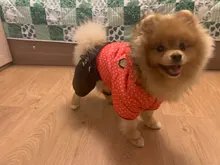 Coat Dogs-Clothing Dot-Pattern Winter Hooded Pet-Dogs New Xl To High-Quality