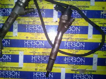 

0445110059 injector Chrysler Voyager (rg) *