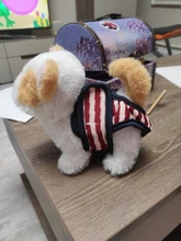 Menstruation Underwear Panties Jumpsuit Diaper Dog-Shorts Pet-Physiological Sanitary