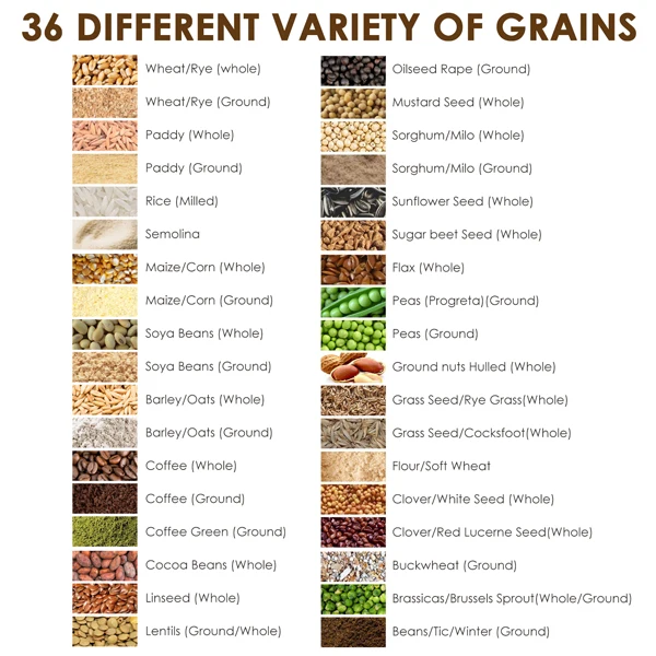 5-innovative-life-Moisture-meter-MC-7828GG-grains