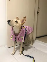 Jacket Raincoats Puppy-Clothes Pets Reflective Dog Small Waterproof Outdoor Large Breathable