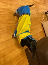 Jumpsuit Raincoat Pet-Cloak Teddy Waterproof-Jacket HOOPET Dogs Chihuahua for Small Cat