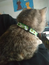 Patrón de flor de nueva moda gato ajustable Collar con cascabel Collar para gatos cachorro mascotas plomo correas para mascotas