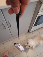 Correa retráctil de tracción automática para perros y gatos pequeños, correa de nailon para caminar, disponible en 11 colores, 3m y 5m