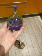 Bowl Feeder Food-Ball Tumbler Pets-Supplies Leakage Feeding-Toys Training Cat Exercise