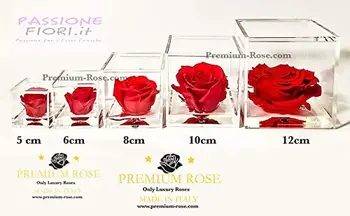

1086 Cuberose cube pink stabilized Orange 8cm 8x8x8-the cube with A genuine and own Eternal Rose, lasts longer than 5 years, No.