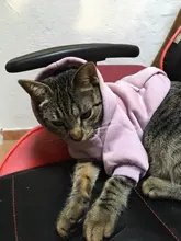 Warm Pet Clothes For Cats Clothing Autumn Winter Clothing for Cats Coat Puppy Outfit