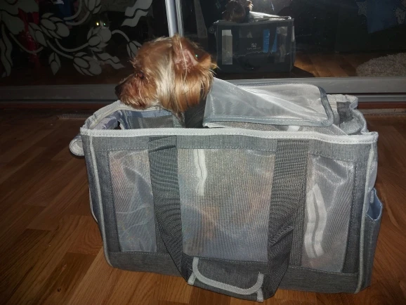 DogMEGA Dog Tote Bag | Small Dog Tote Bag | Dog Travel Tote photo review
