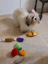 Juguetes de peluche de perros y gatos, juguetes de dibujos animados, fruta bonita, juguete masticable para mascotas, interactivo