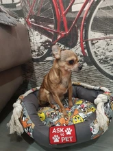 Thicken Dog Kennel Pet Bed For Dogs Cat House Dog Beds For Large Dogs Pets Products For