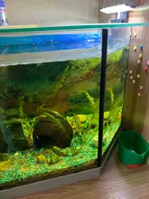 Aquarium-Lights Lamp Aquatic-Freshwater-Lamps Fish-Tanks Led-Plants Waterproof Clip-On