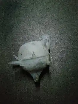 

9639562680 deposit Expansion Citroen C3 *