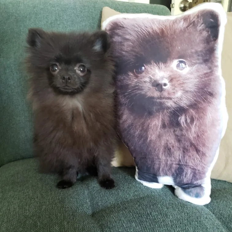Personalized Pet Shape Pillow Photo customization DIY cushions photo review