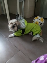 Dog Raincoat Pet Waterproof Detachable Rain Jacket Dogs Water Resistant Clothes for Dogs