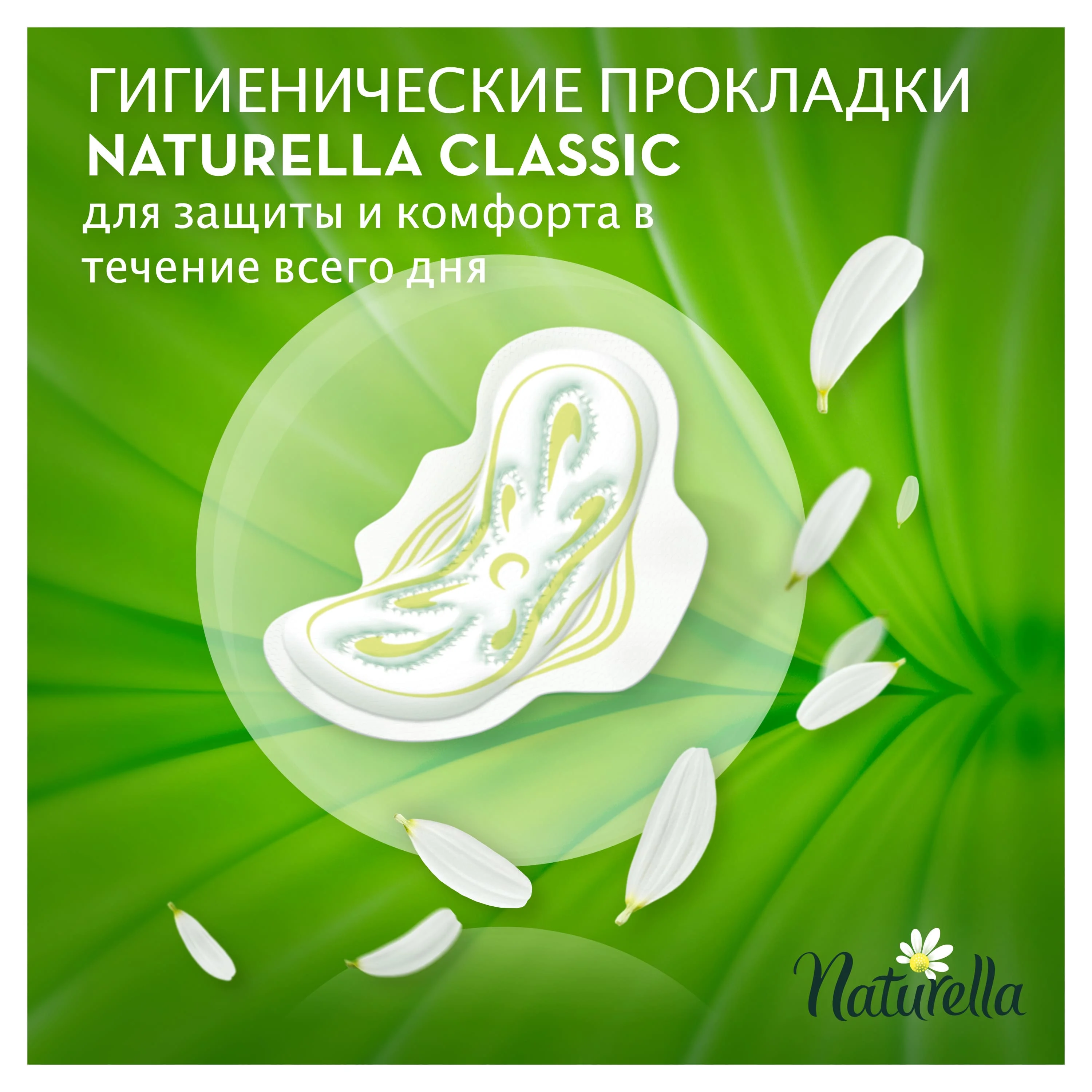 Women 'S flavored strip NATURELLA CLASSIC Normal(scented Daisy) Single, 12 PCs
