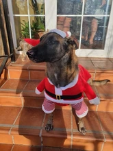 Costume Cat Jacket Christmas Dogs Small Santa-Claus Winter Large for Funny Dog-Coat Warm