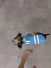 S-XL de ropa para perros chubasqueros con capucha, tira reflectante, abrigo de lluvia para perros, chaquetas impermeables, ropa transpirable para exteriores para cachorros