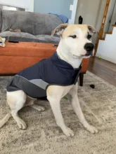 Ropa de perro mascota reflectante, chaqueta para perro impermeable, chaleco para cachorro, traje cálido, XS-XXXL para perros grandes