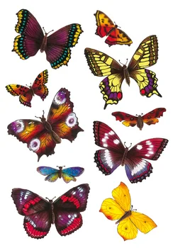 

Stickers for children Herma magic "exotic butterflies"
