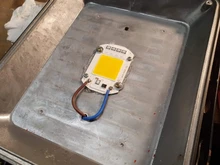 Phyto-Lamp Flower-Growth-Lighting Seedling LED Cob-Chip Indoor-Plant Full-Spectrum 50W