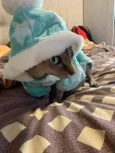 Autumn Winter Warm Pet Cat Costume for Cats Soft Fleece Dog Cat Clothes Kedi Katten Mastomas