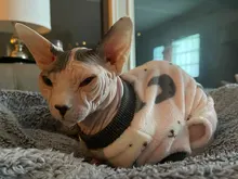 Coat Jumpsuits Puppy Dog-Pajamas Dogs Chihuahua Pomeranian-Clothing Winter Print 