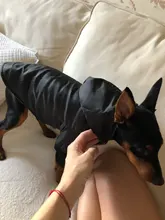 Coat Puppy Clothing Pet-Dog-Jacket Dogs Chihuahua Yorkshire Hoodies Outfit Small Winter