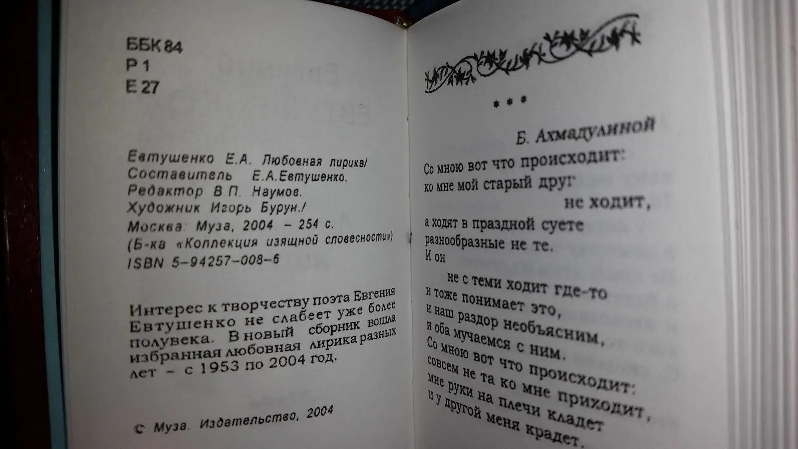 Рисунок 3 - Современная мини-книга 2004 года