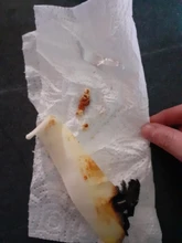 Velas de oídos para la eliminación de cera de los oídos, vela cónica de relajación Natural, propóleos, fragancia de terapia de Indiana, 10 Uds.