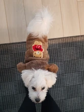 Puppy Clothing Dogs-Coat Dog-Costume French-Bulldog Pug Soft Winter Flannel for Bear-Ear