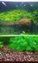 Aquarium Lighting Lamp Submersible-Light Fish-Tank Underwater 24-54CM