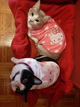 Abrigos para gato y cachorro de dibujos animados, chaqueta de lana cálida para perros pequeños, ropa de Chihuahua, ropa de Yorkshire, Otoño e Invierno