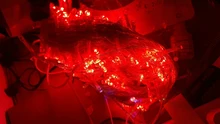 Luces Fairy-Light Lighting-Tree-Garland Decoracion Christmas Outdoor 100M 5M 20M SICCSAEE