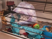 Hammock House Nest Hamster Pet-Bird Hanging Parrot Warm Small Cute Comfortable Plush