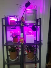 Grow-Light Lamps Timer Flowers Desktop-Clip LED Phyto Full-Spectrum For Plants DC5V USB