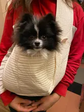 Hecho a mano para mascotas perro al aire libre de viaje bolso de la lona de un solo hombro bolso comodidad de viaje Bolso grande de hombro transpirable