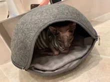 Cat-Bed Cushion Cats-Basket-Bags Nest Pet-Supplies Cave-Sleeping-Bag Zipper for Felt-Cloth