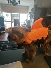 Chaleco salvavidas para perro, chaqueta salvavidas, ropa de baño para perros, traje de baño para mascotas, forma de tiburón