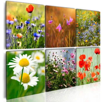 

Colored picture-lawn-60x40 cm