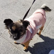 Fleece Vest Suit Coat Jackets Clothing Pet-Dog-Clothes New-Supplies Small Dog Winter