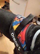 Sticker Harness Patch Label Name-Tag Custom K9 Personalized Pet-Dog 2pcs