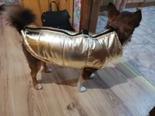 Coat Jacket Vest Bulldog-Clothing Puppy Dogs-Chihuahua French Waterproof Large Winter