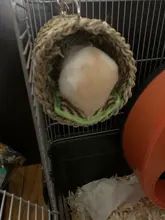 Toy Cage Ladder Hamster Chew-Toys Tunnel Sugar-Glider Playground Rat Climbing Habitat