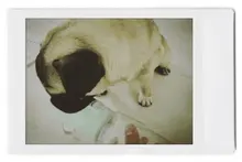 GAG YAY-brochas de maquillaje 4 en 1 para mujer, brochas de maquillaje portátil giratorias, cosmético, sombra de ojos, corrector de brillo de labios, útiles de viaje