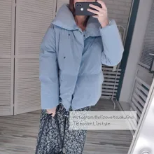 Winter Jacket Windbreaker Oversized Parkas Women Outerwear Cropped Cotton-Padded Female