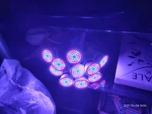 Phyto-Lamp Plant Light Grow-Bulb GU10 Canling Indoor Hydroponics Full-Spectrum 220V E27