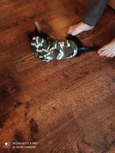 Dog-Hoodie Jacket Coat Pets-Clothing Puppy Warm Dog Small-Dogs Winter Cheap for Ropa-Perro