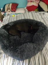 Perro mascota redondo largo de peluche perro camas para perros productos para mascotas cojín Super suave y esponjoso cómodo gato Mat suministros Accesorios