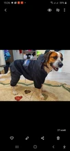 HOOPET Large Coat Down-Jacket Winter New Warm Autumn for Dogs Dog-Prints Overalls Leisure-Style