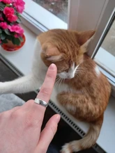 Anillos de plata de ley 925 sencillos y creativos, joyería no alérgica, con carácter redondo, moda Popular, anillos de apertura SR209